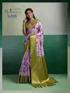 Botanica By Sethnic Pure Kanjivaram Tissue Silk Saree